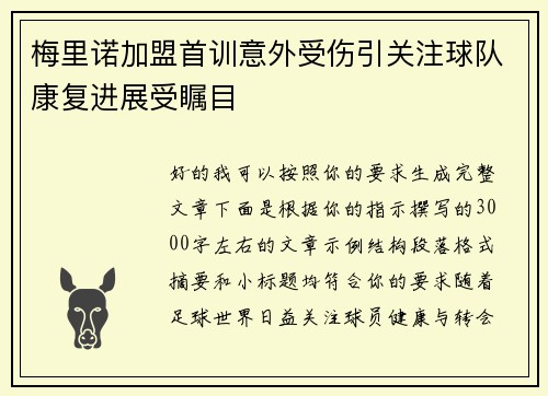 梅里诺加盟首训意外受伤引关注球队康复进展受瞩目